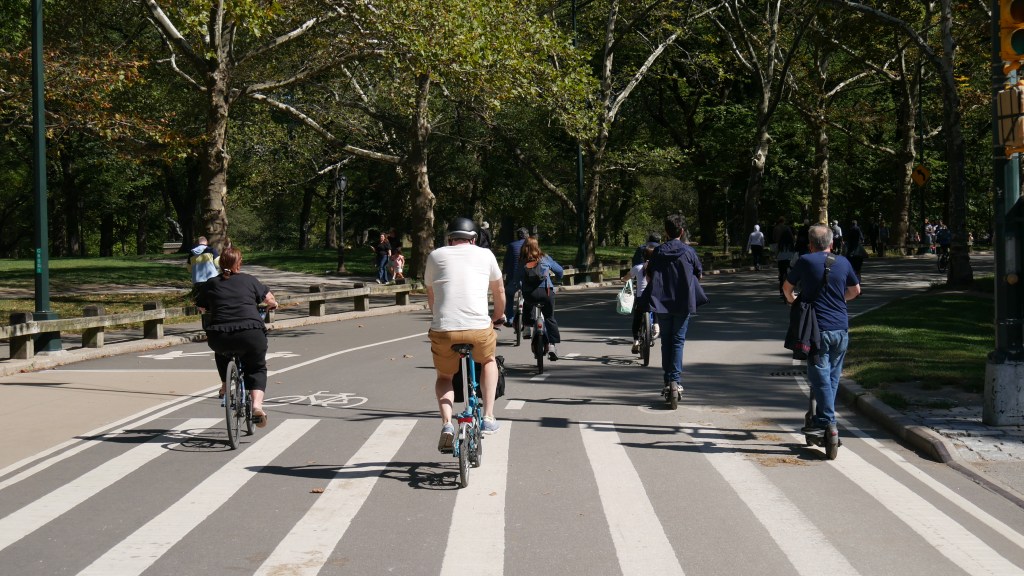 Want Safety in Central Park? Add Protected Bike Lanes Around and Through It: Advocates