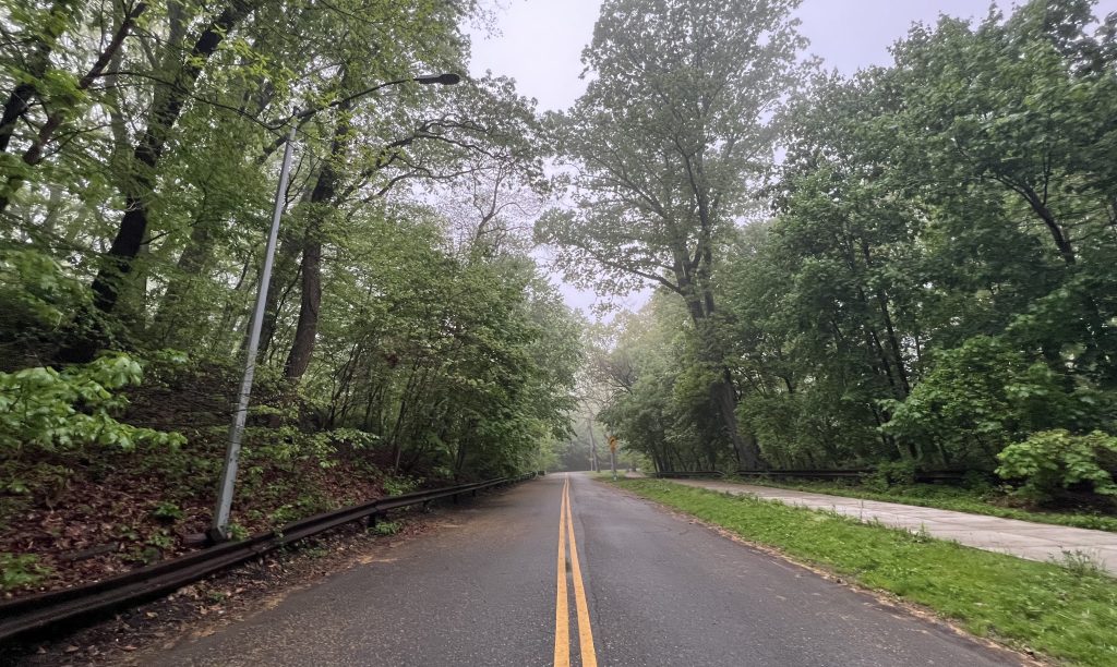 Community Board Defies Parents in Vote to Reopen Forest Park to Cars