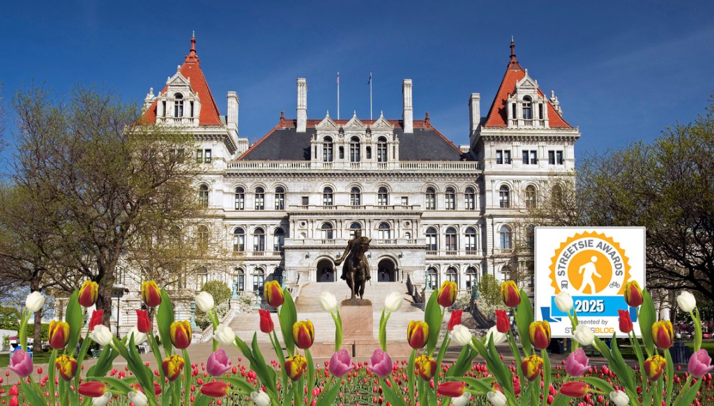 Streetsies 2025: The Best from Albany