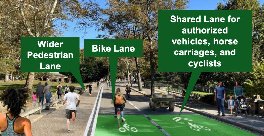 Central Park Changes Have Eased Crossings for Pedestrians, New Data Shows