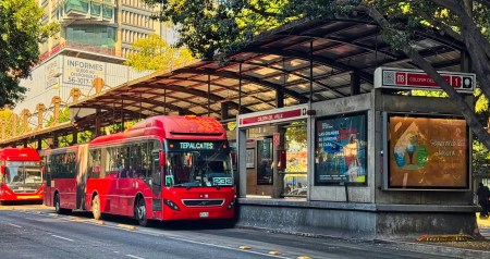 New York City’s Buses Are About to Grow Up