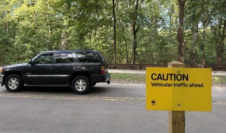 The Hangover: Mamdani Continues Adams Policy of Allowing Cars on Park Drives