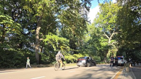 Tuesday’s Headlines: Eyes on the Park Edition