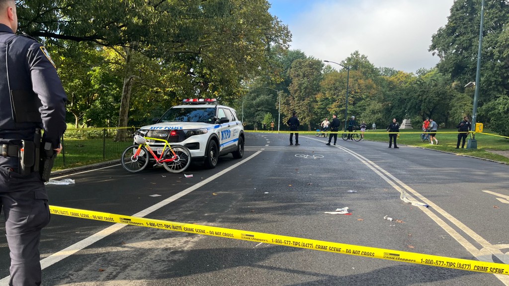 Cyclist Killed In Crash With A Dog In Central Park
